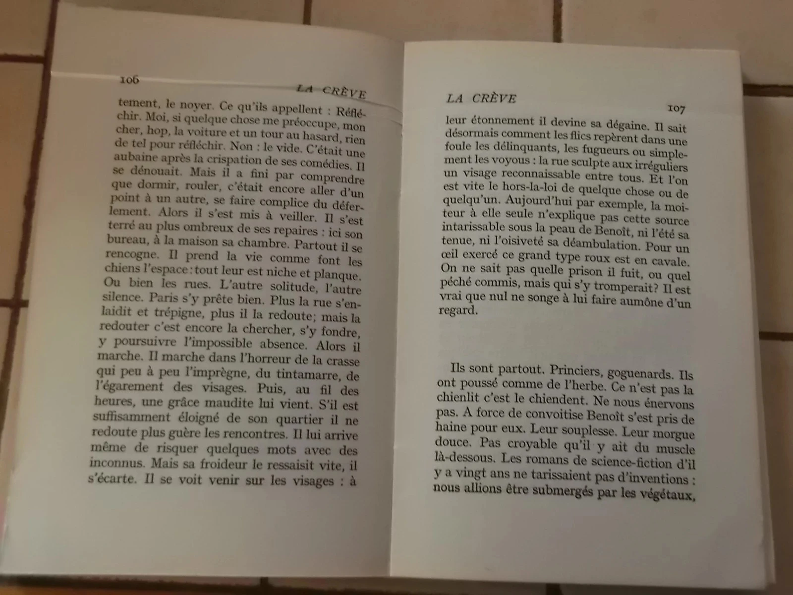 La crève – photo 6